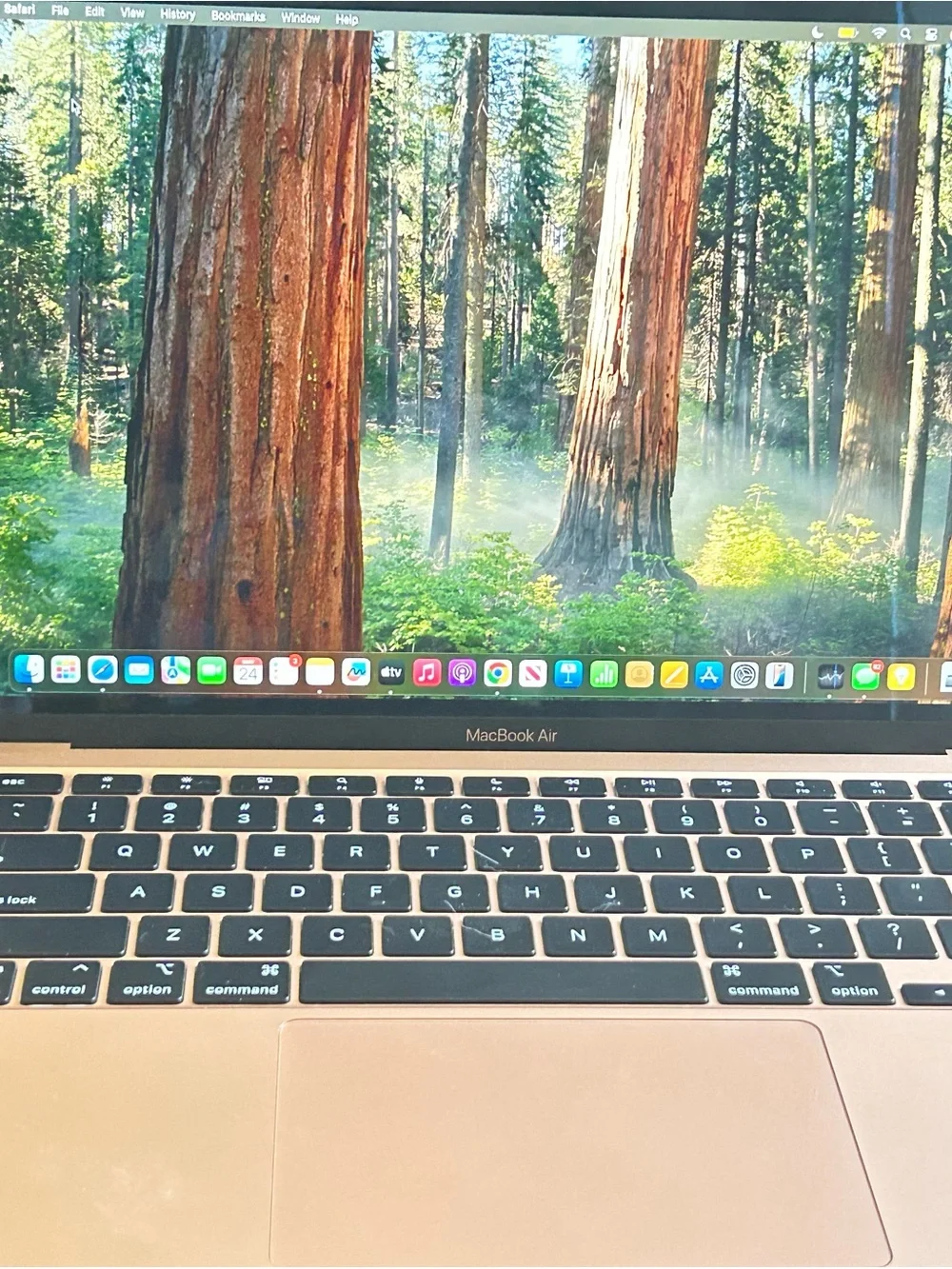 Apple MacBook Air - Silver and Black Display
